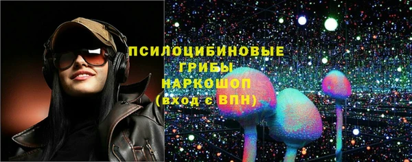 стаф Баксан