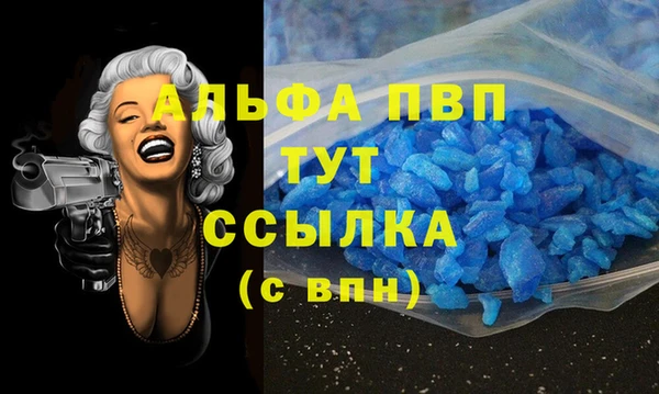 стаф Баксан