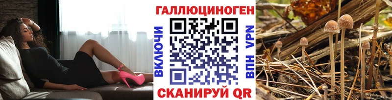 Псилоцибиновые грибы Magic Shrooms МЕГА ССЫЛКА Изобильный